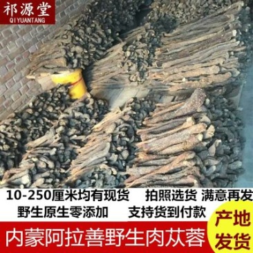 【产地发货】内蒙古阿拉善野生肉苁蓉油苁蓉一斤包邮整根切片