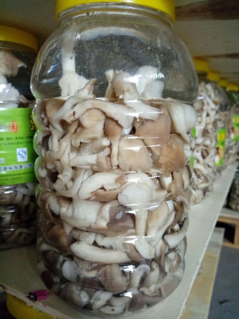 清水姬菇