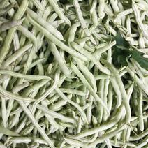汉中白不老四季豆条直颜色白，产地直销保质保量