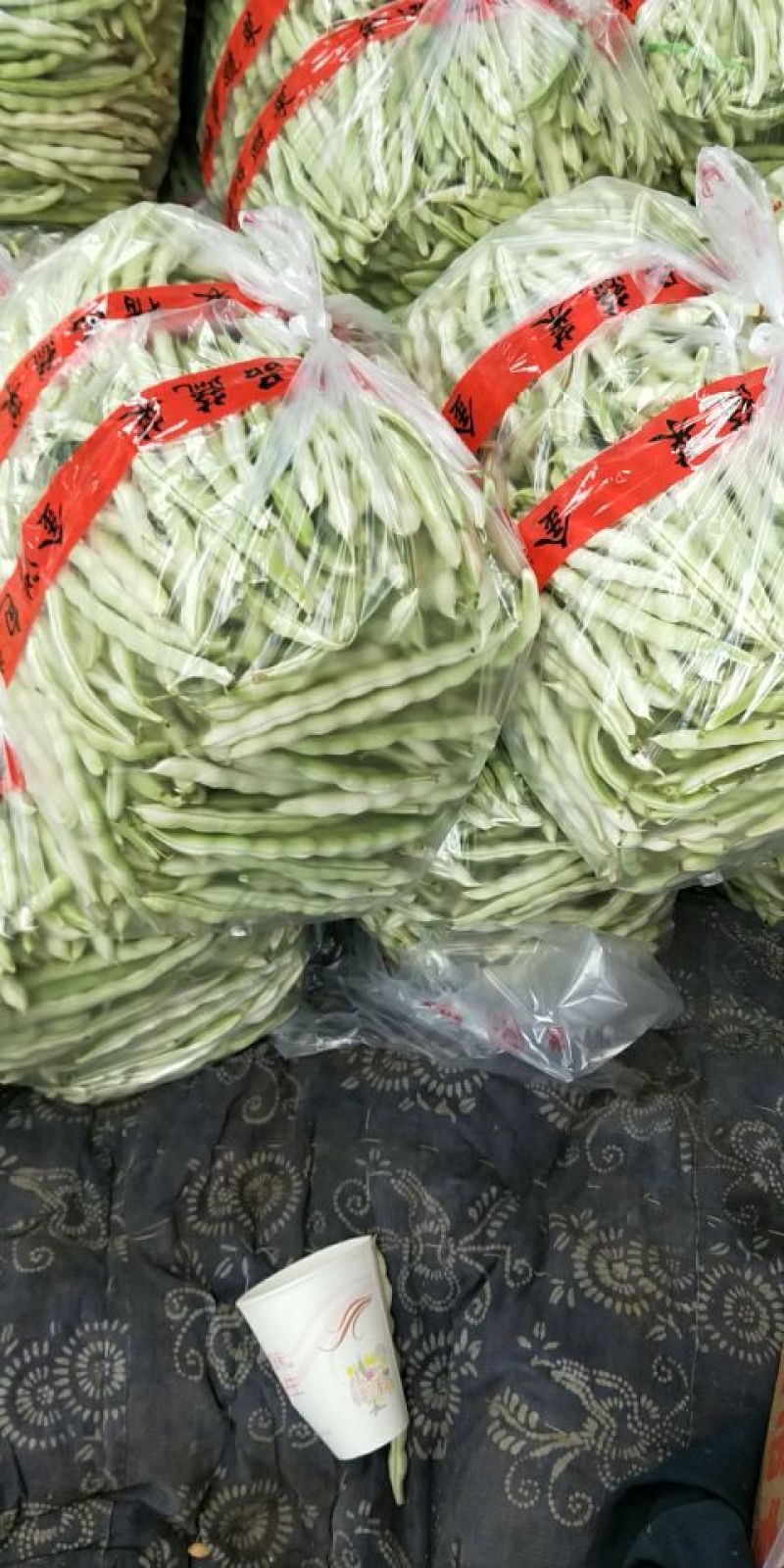 白不老芸豆