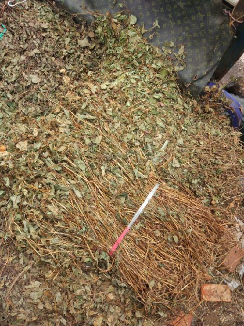 鱼腥草包装袋