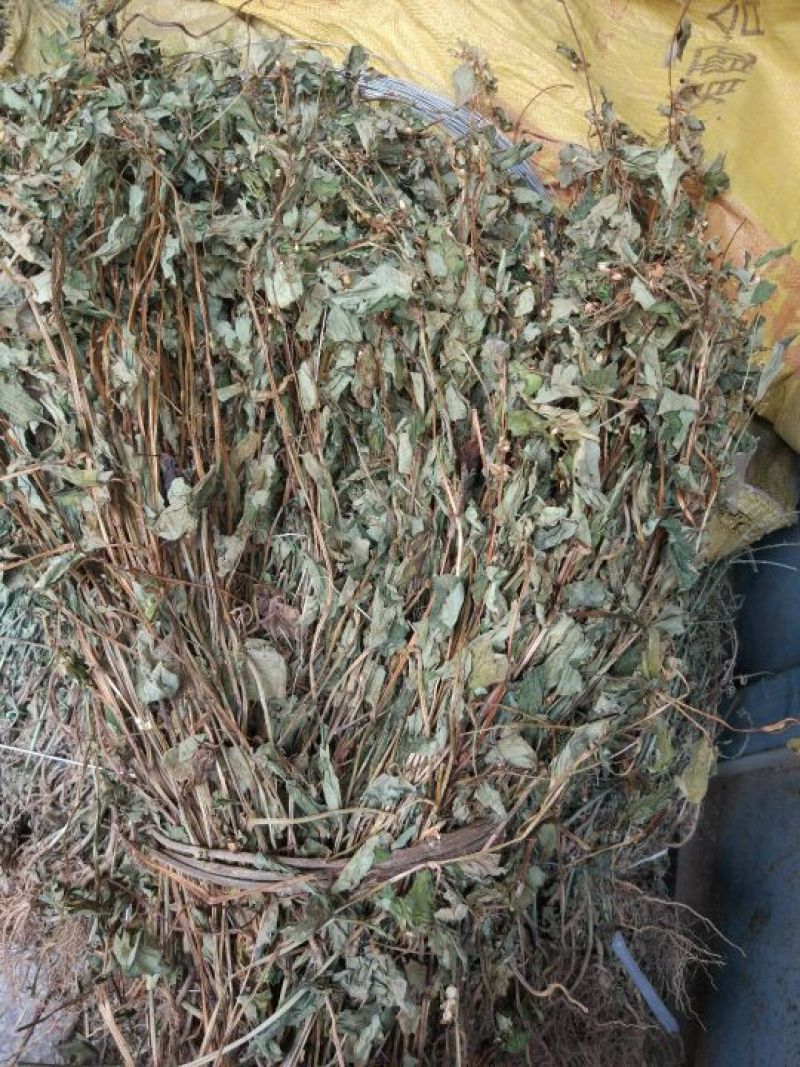鱼腥草包装袋