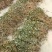 鱼腥草包装袋