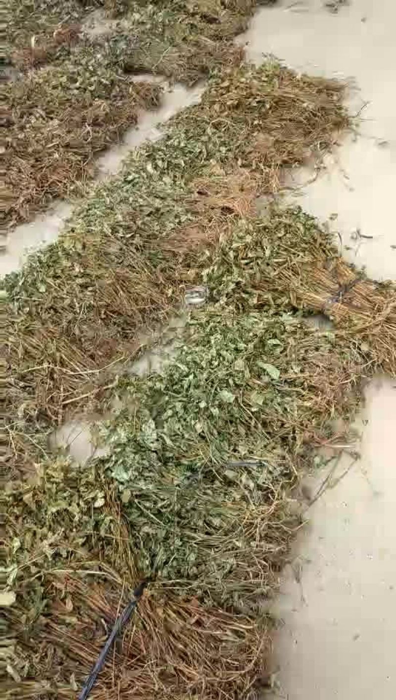 鱼腥草包装袋