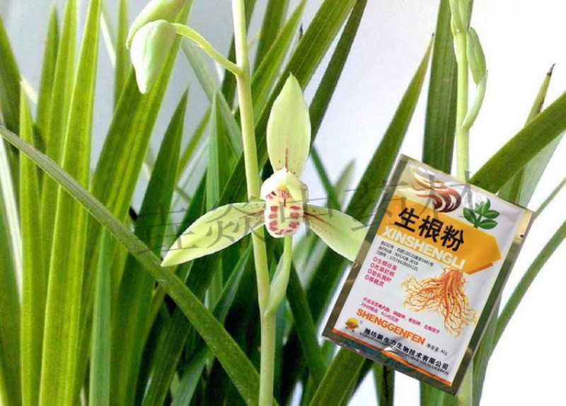 植物生根粉补充维生素促进快速生根