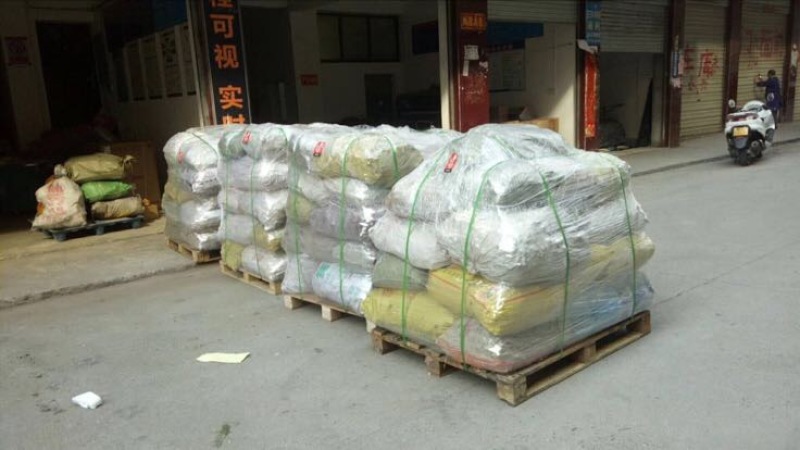 多花倒苗姜型甜黄精甜统个