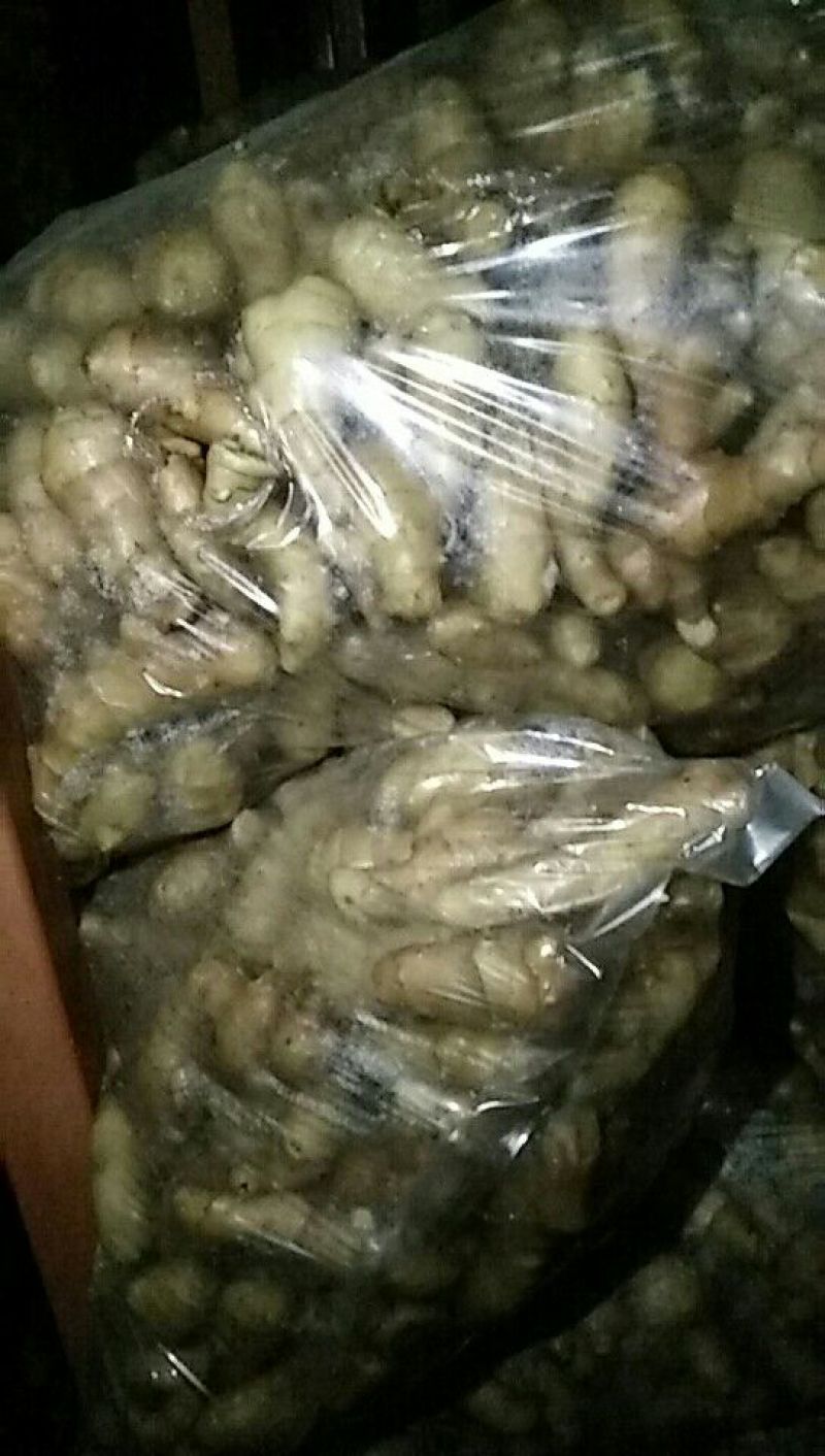 姜巴一两到四两