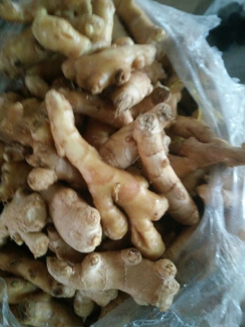 姜巴一两到四两