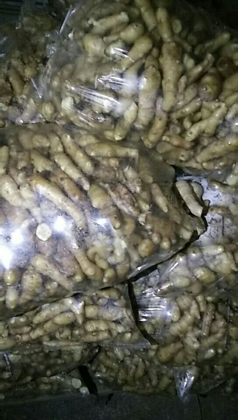 姜巴一两到四两