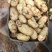 V7荷兰十五土豆，商超品质**，可视频验货