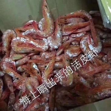 虾干通货70一斤
