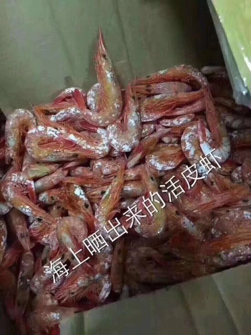 虾干通货70一斤