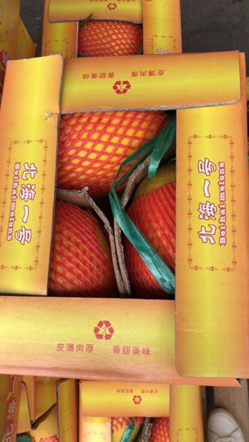 北海1号哈密瓜5斤以上长圆形