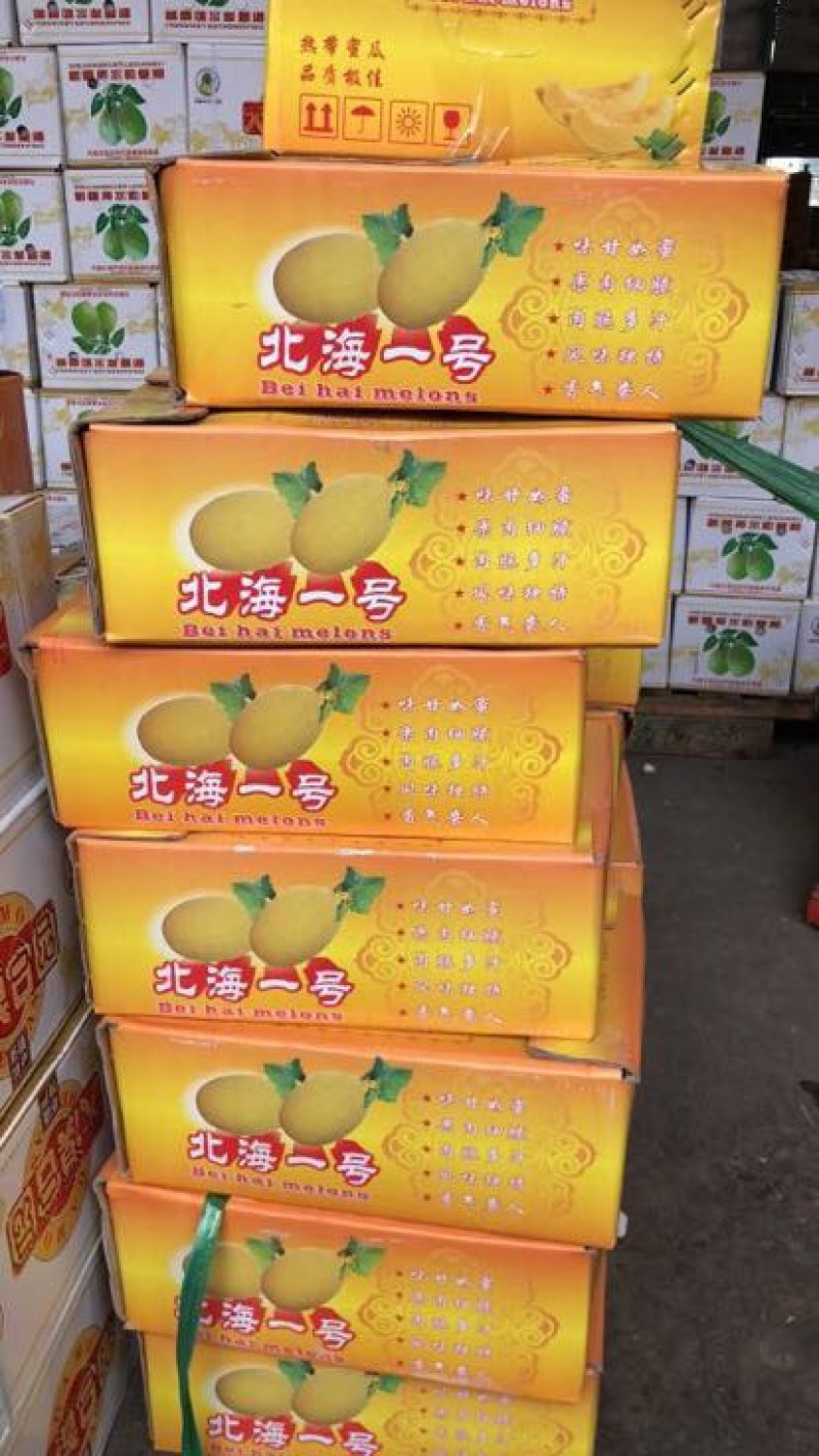 北海1号哈密瓜5斤以上长圆形