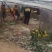北海1号哈密瓜5斤以上长圆形