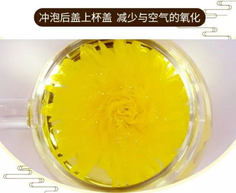 金丝皇菊独立包装，100朵简装，泡开7公