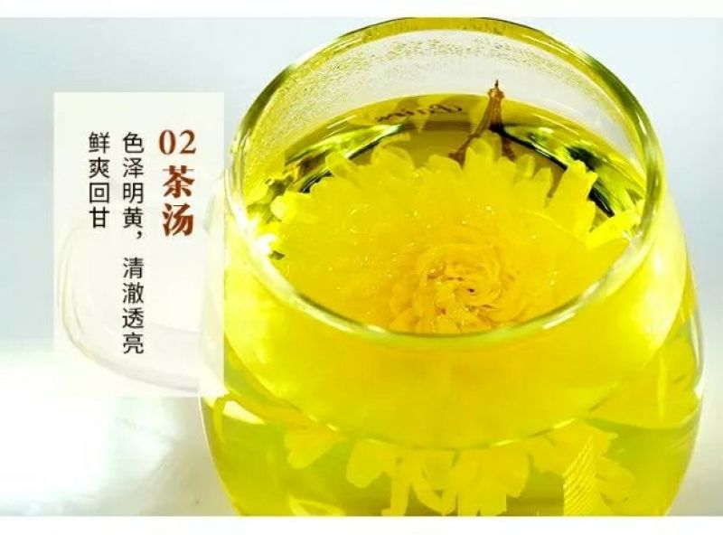 金丝皇菊独立包装，100朵简装，泡开7公