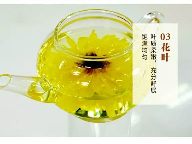 金丝皇菊独立包装，100朵简装，泡开7公