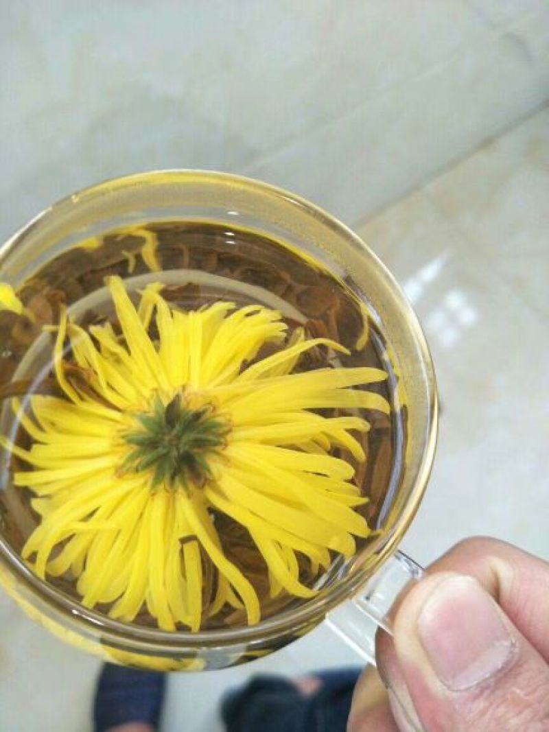 金丝皇菊铁盒装20朵，泡开8公分