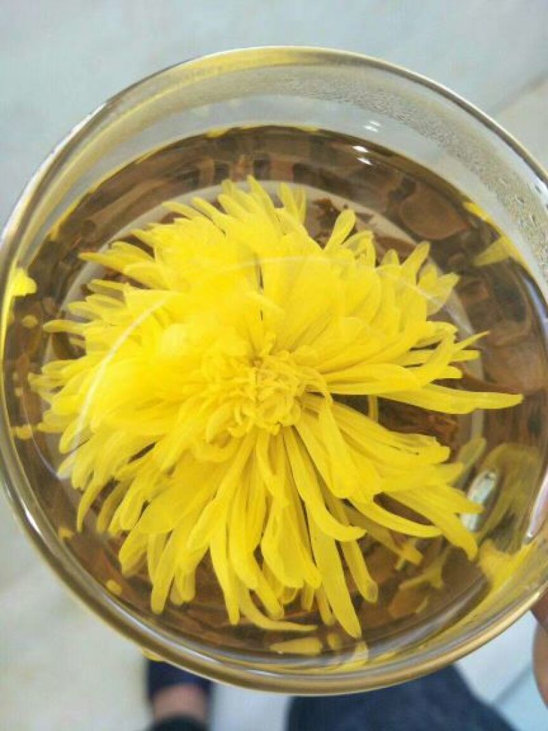 金丝皇菊铁盒装20朵，泡开8公分