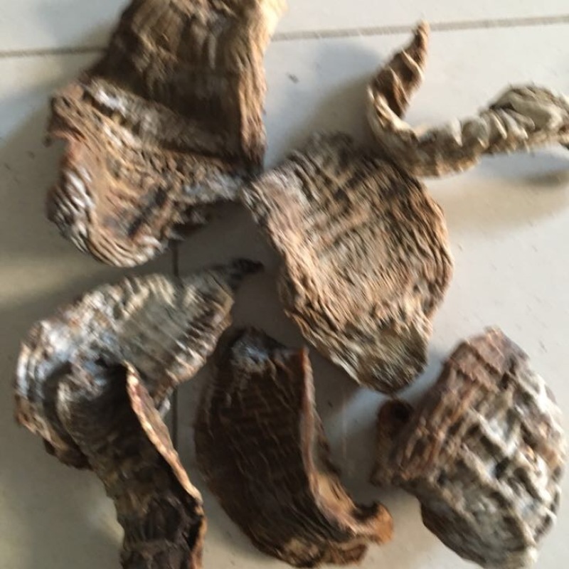 今年的楠竹干笋水煮笋干，深山野生