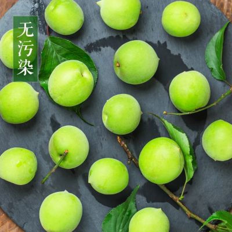云南5斤新鲜青梅果现摘现发包邮