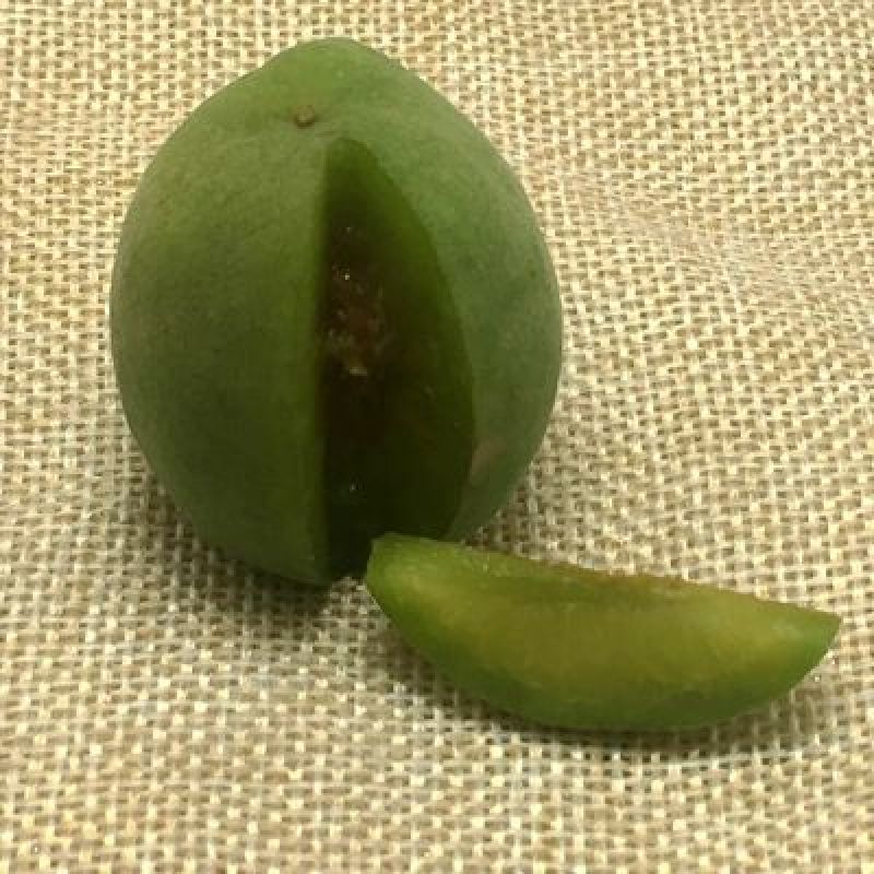云南5斤新鲜青梅果现摘现发包邮