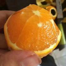 精品秭归脐橙，色泽光亮，果型端正，保质保量，一手货源。