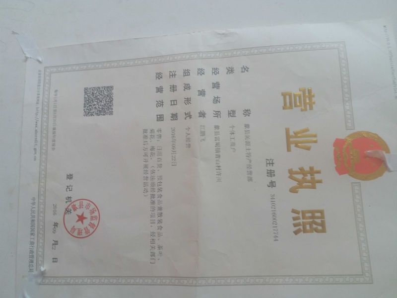金丝皇菊茶精品特级金丝皇菊