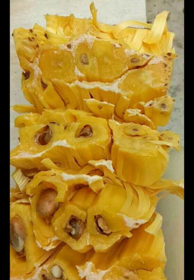 海南当季/黄肉干苞菠萝蜜马来一号/产地直供/整车供应