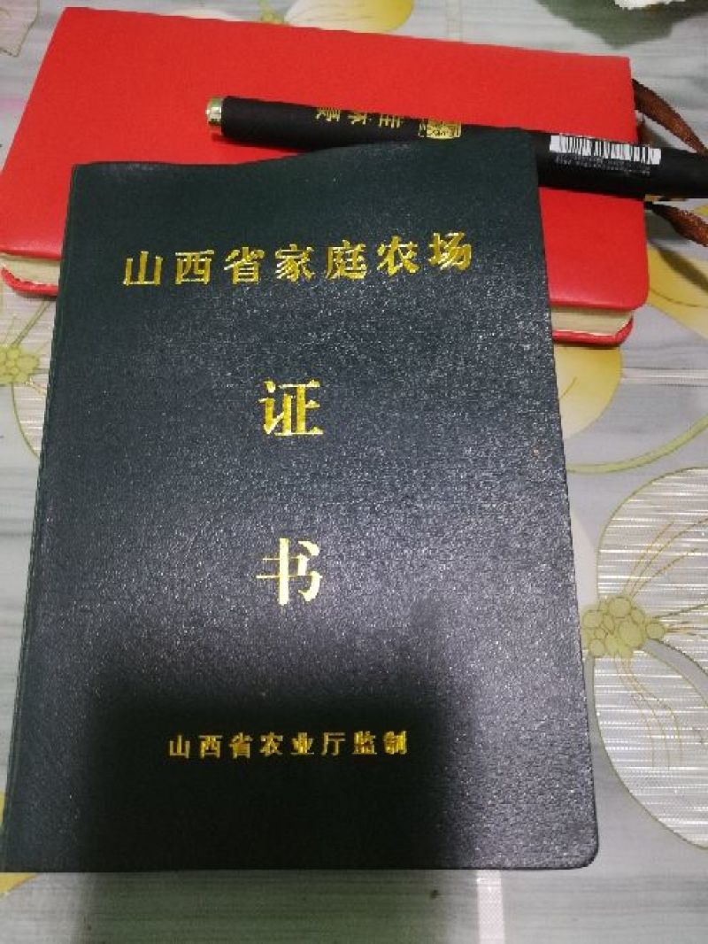 山西运城新绛阳王大田油桃中油4号大量上市