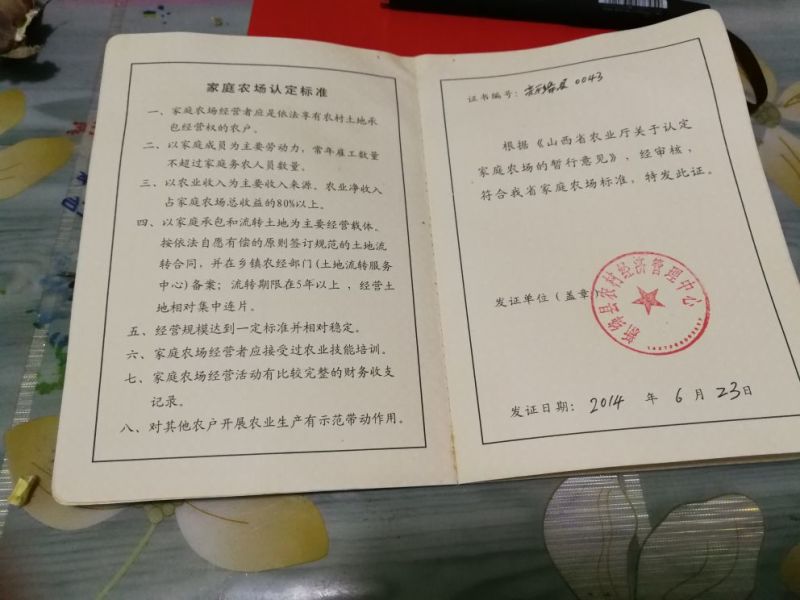 山西运城新绛阳王大田油桃中油4号大量上市
