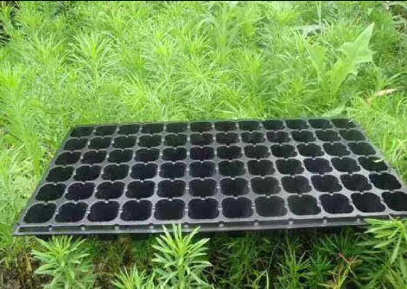 穴盘，育苗盘，苗盘。塑料育苗盘育苗容器，