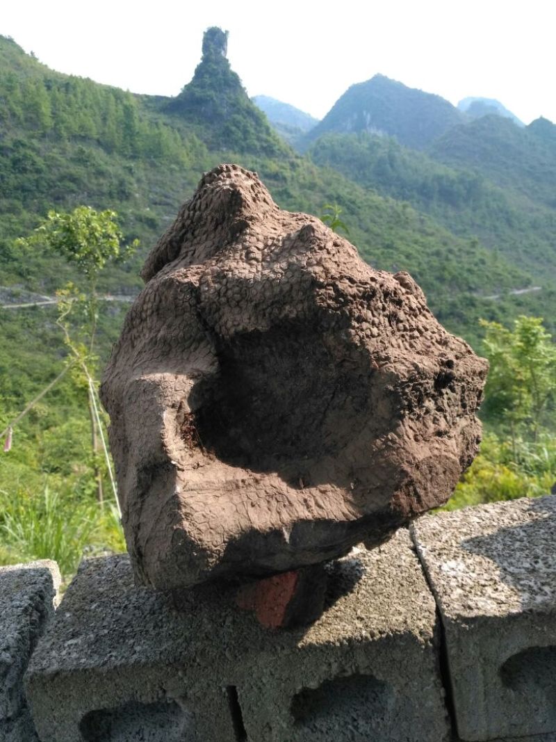 天然奇石