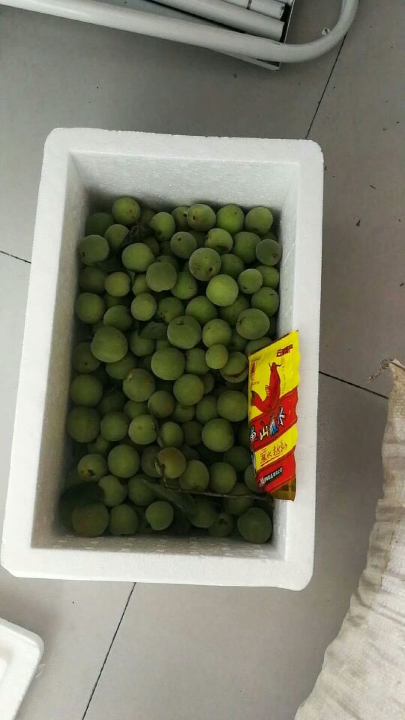 梅子10~15g