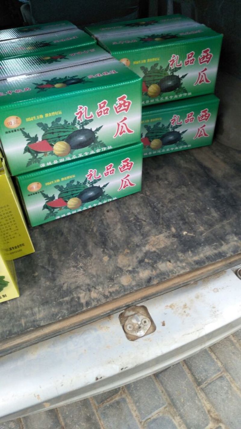 吊蓝西瓜，