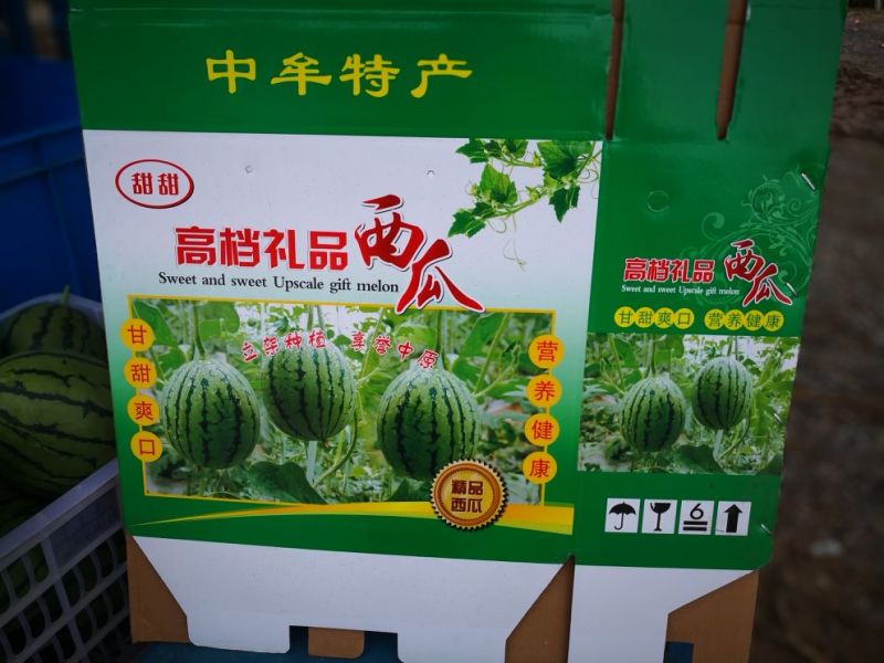 2K西瓜西瓜美都西瓜大量供应