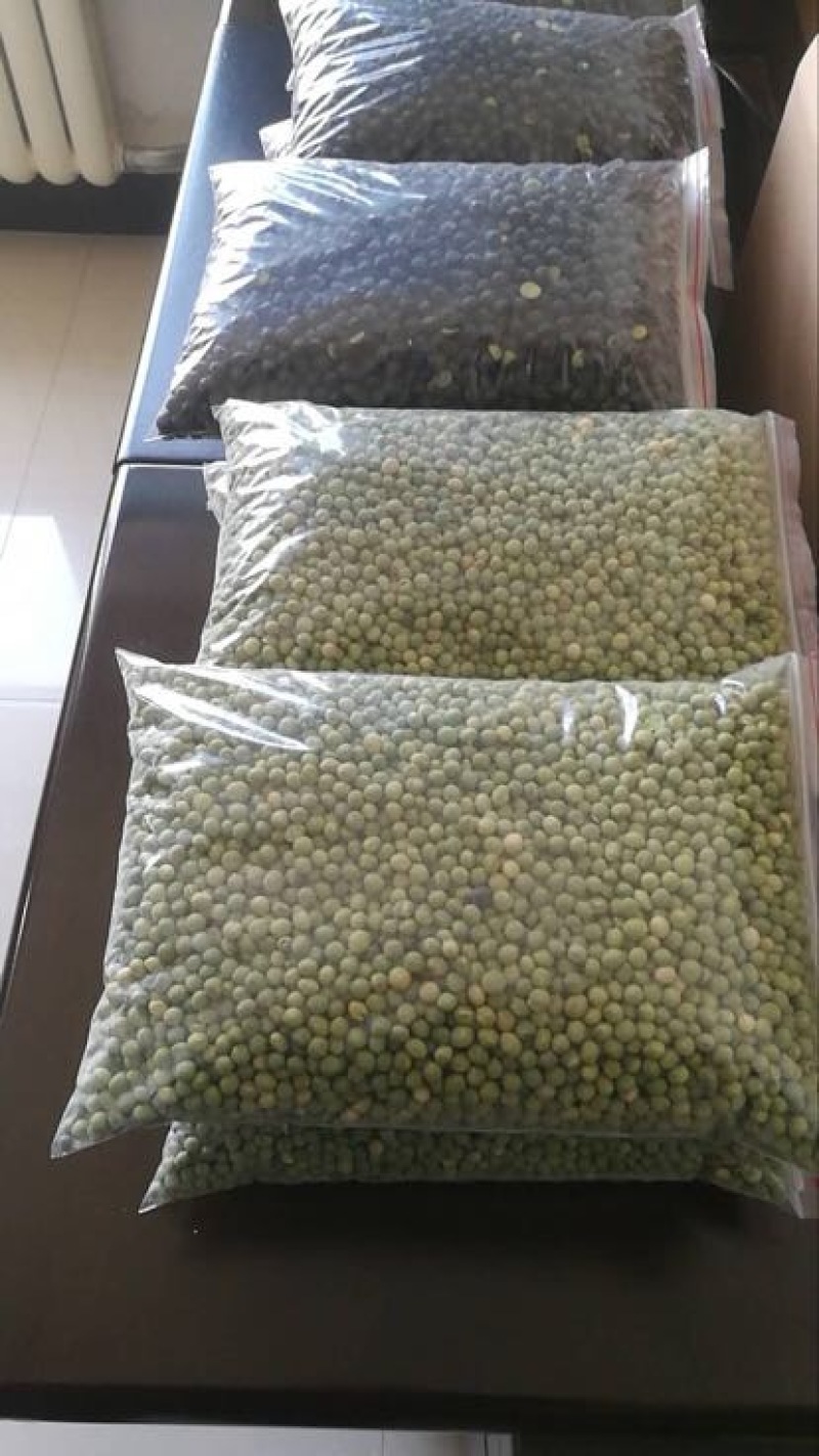 乌皮青仁豆