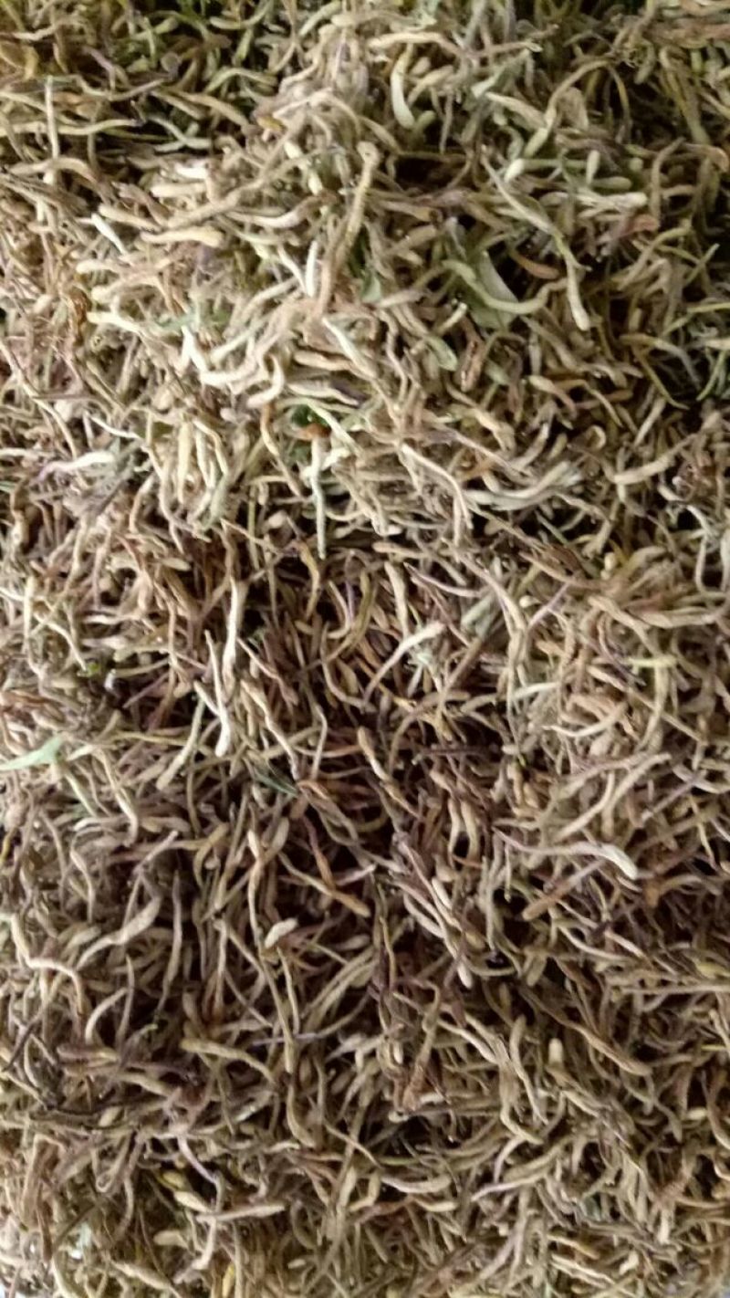 金银花