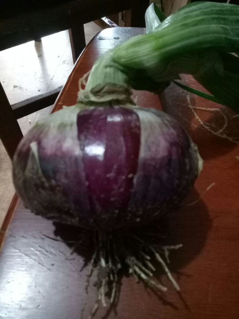 紫葱产地直销，货源充足，价格不高，质量很好，合作共赢