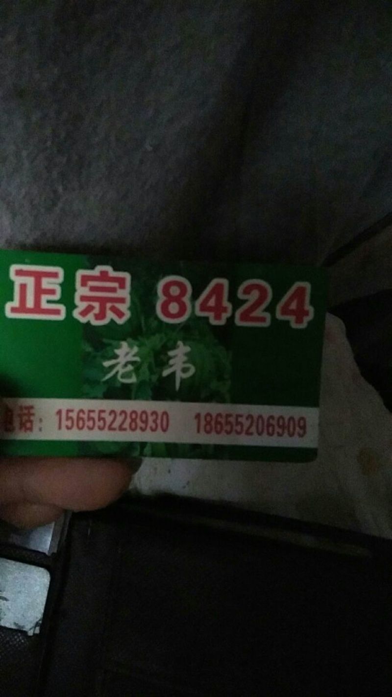 正宗8424