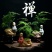 文竹