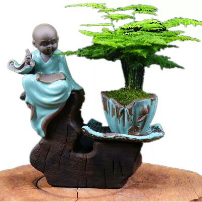 文竹
