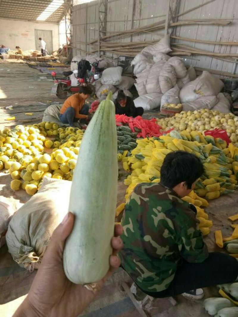新鲜羊角脆