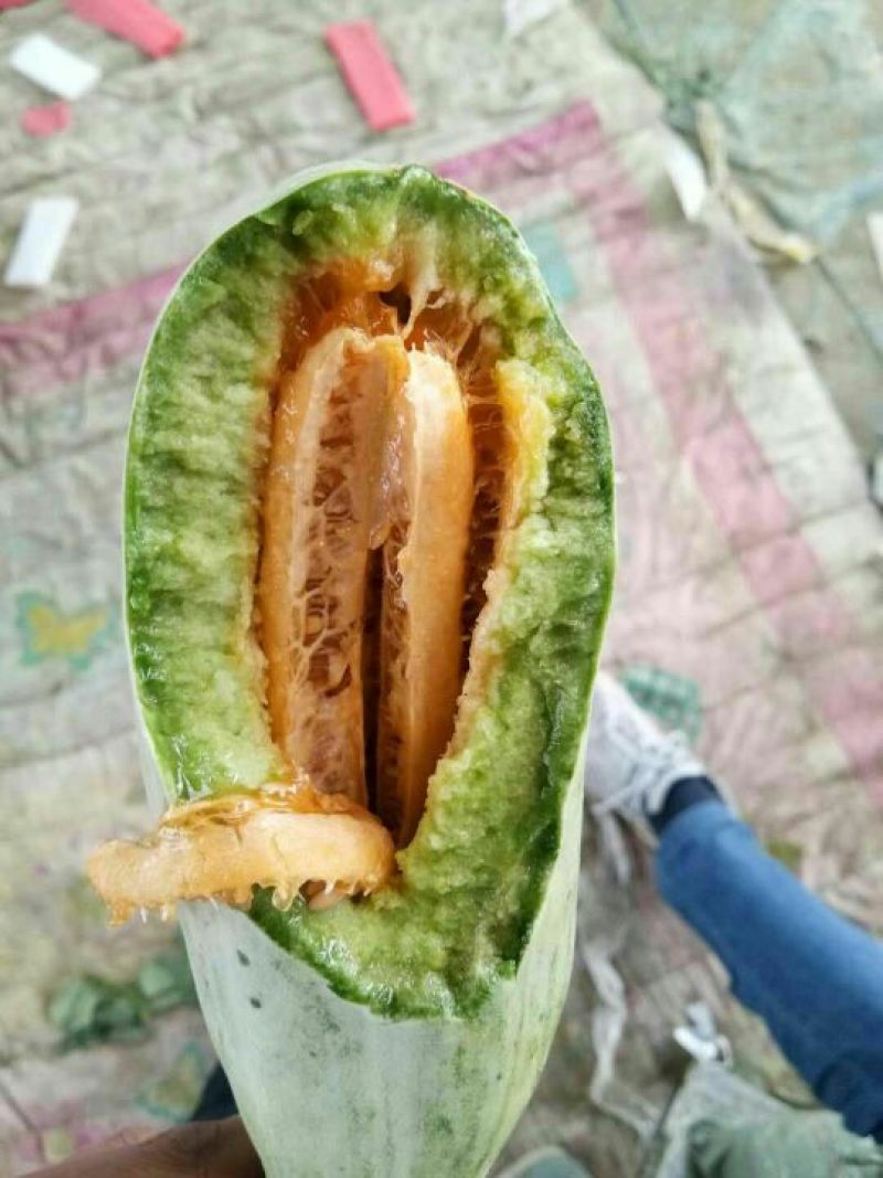 新鲜羊角脆