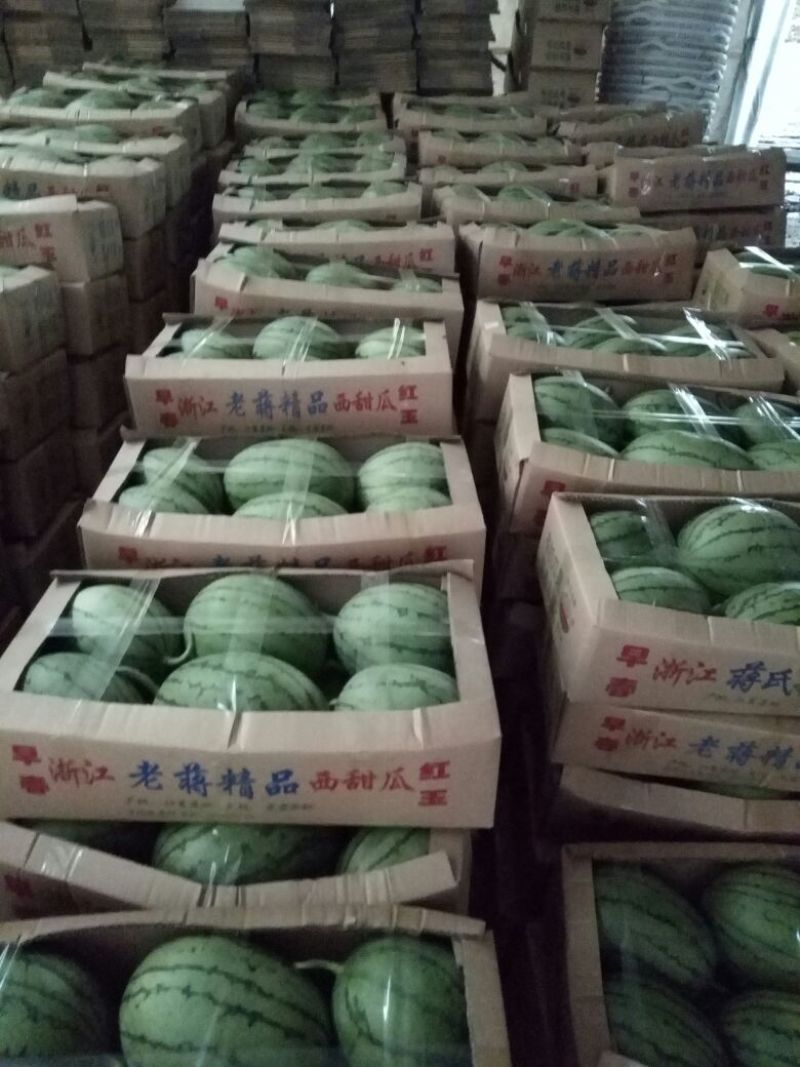早春红玉