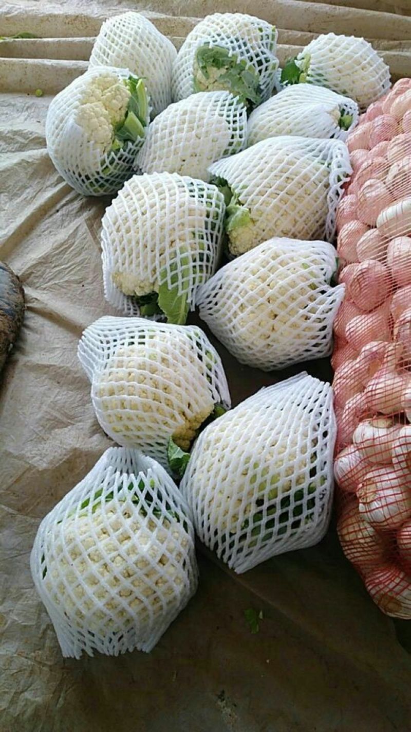 精品花菜大量上市，有需要的速度联系
