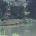 斑竹