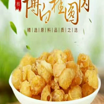 广西桂圆肉，无核龙眼肉，冷藏保存18--24个月
