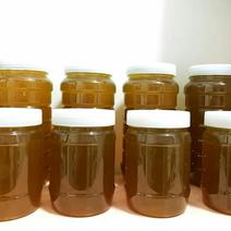 老爸家的野生蜂蜜只卖50元一斤！